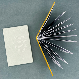 <strong>Artist Book</strong><br/>
<em>Ahorn, Zimmer, Küche, Bad</em><br/>Anna Derriks<br/> 